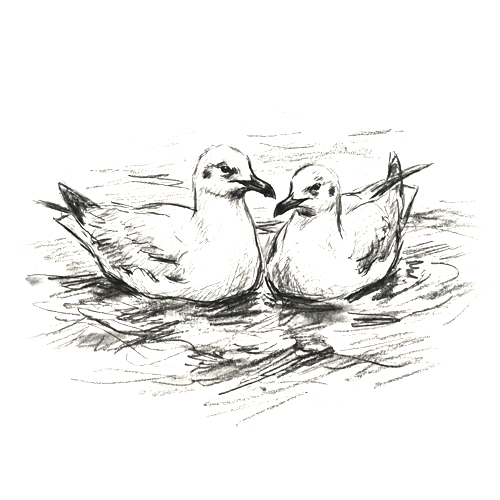 drifting away in marriage